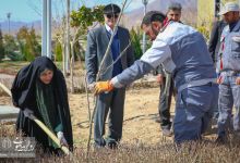 گزارش تصویری |  آیین غرس نهال و تجلیل از پرسنل زحمتکش فضای سبز و باغبانی دانشگاه صنعتی شاهرود 